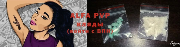 индика Балабаново