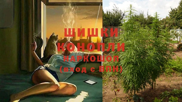 индика Балабаново